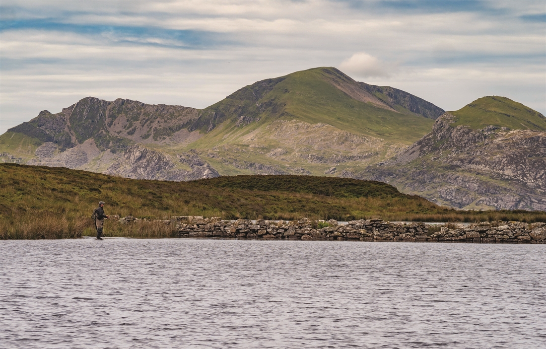 Wild Wales and Celestial Trout