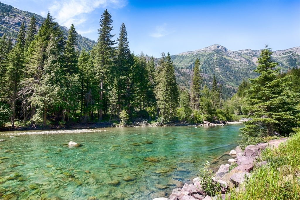 Fishing on the River Flathead in Montana