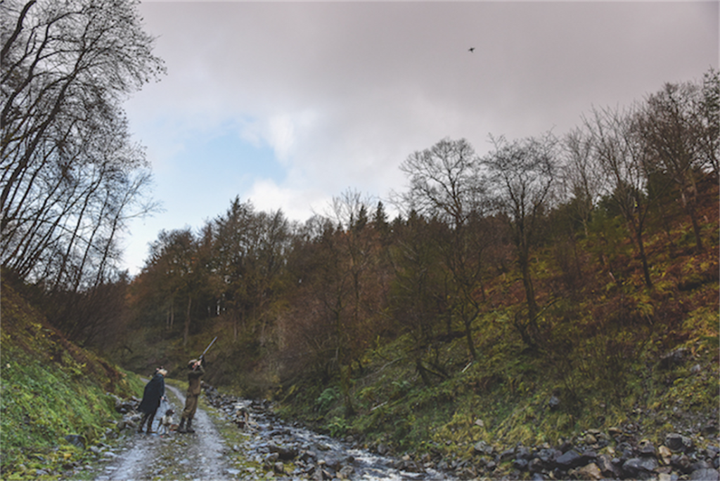 The Bolton Estate, North Yorkshire. Where gameshooting and conservation work together...