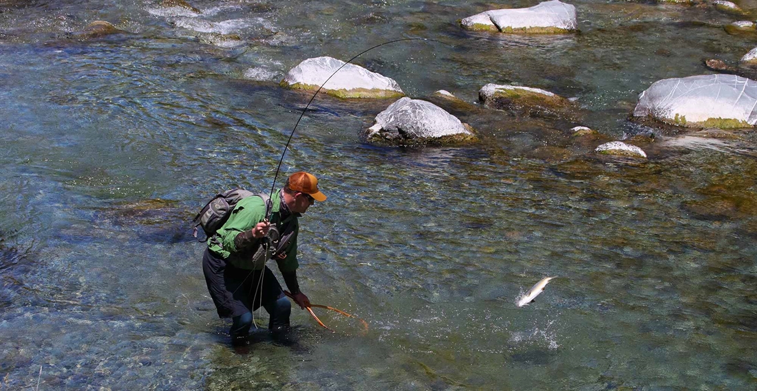 How to catch more trout