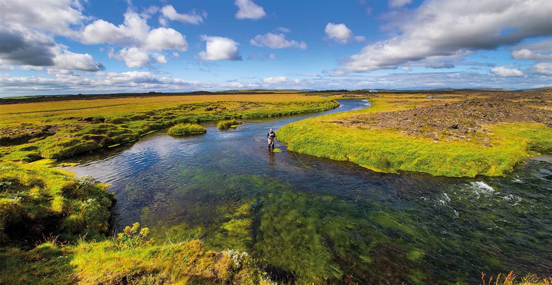 Trout fishing on Iceland’s Minnivallalaekur