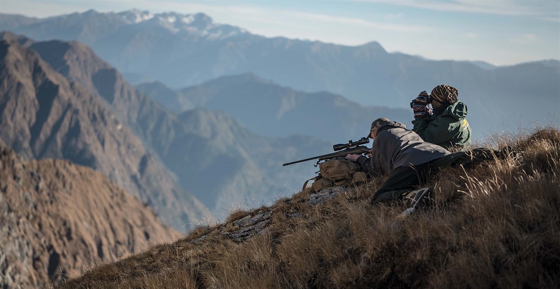 Himalayan tahr hunting