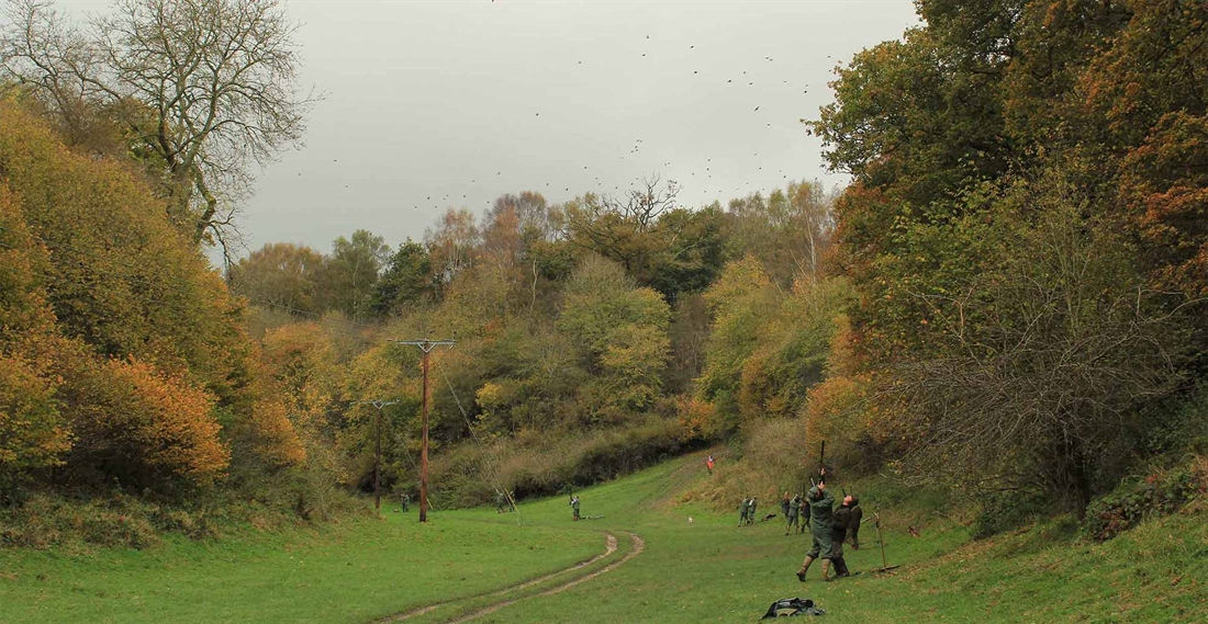 Which gun for high pheasants?