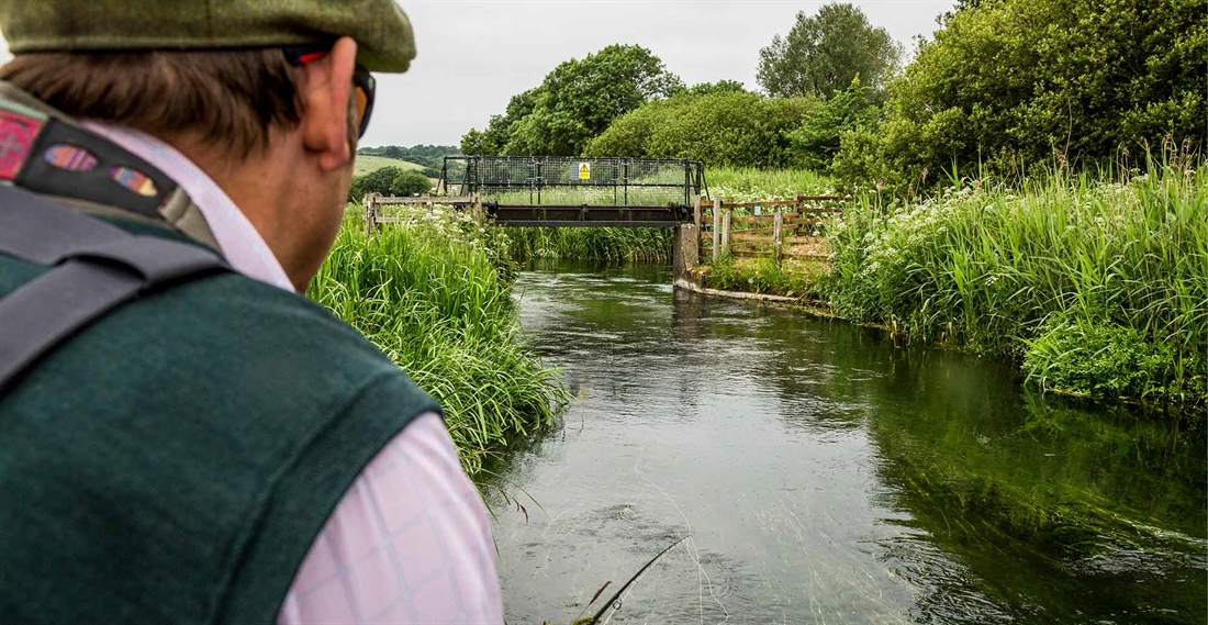 River Frome, Dorset