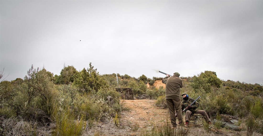 Spanish partridges at Butler del Prado