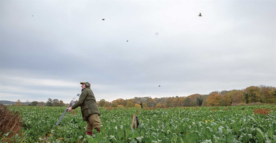 Five of Norfolk&#8217;s finest shoots