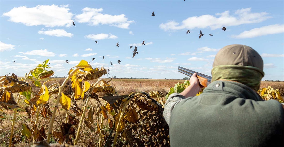 Wing shooting in Africa