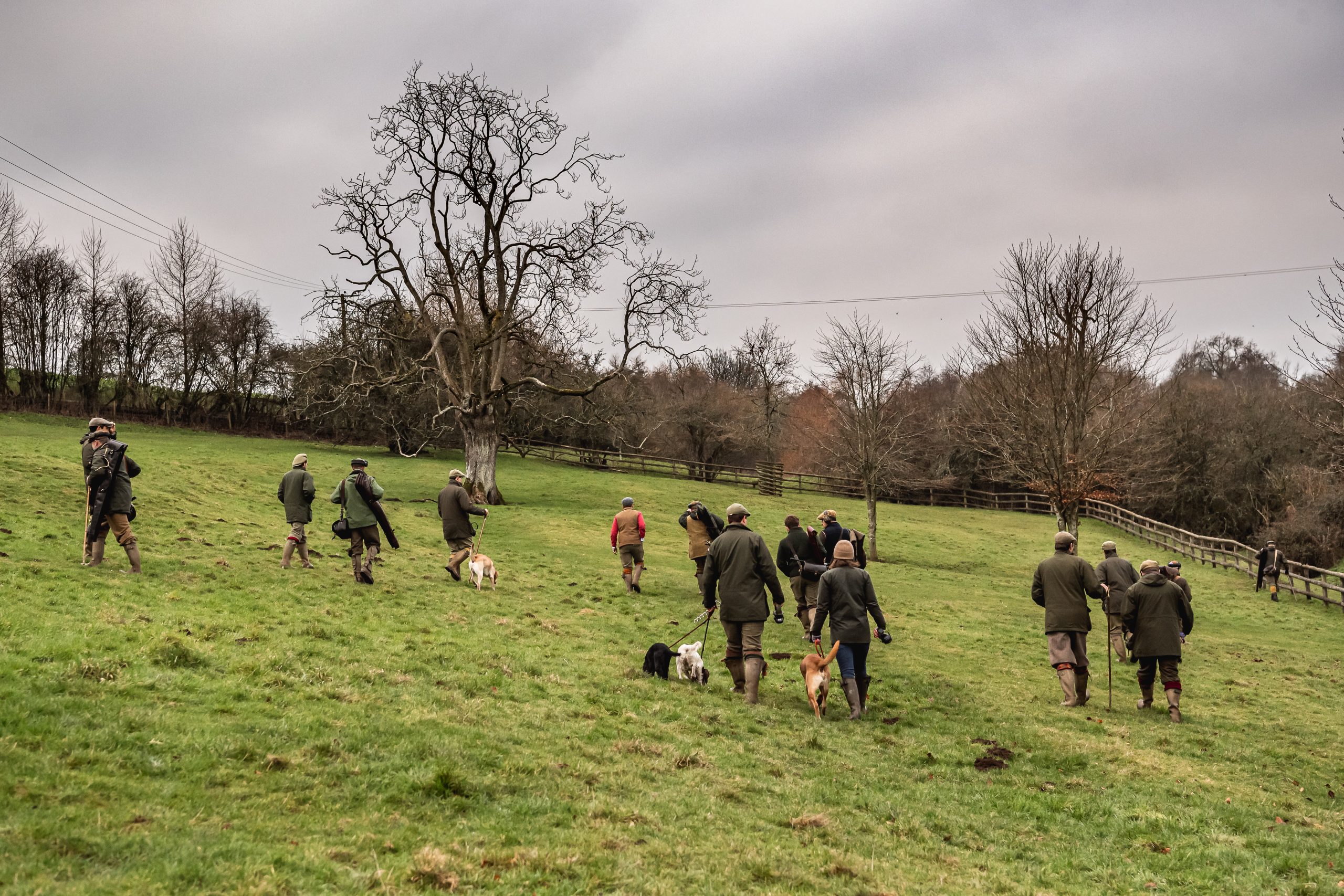 A group of guns walking through a field to their pegs