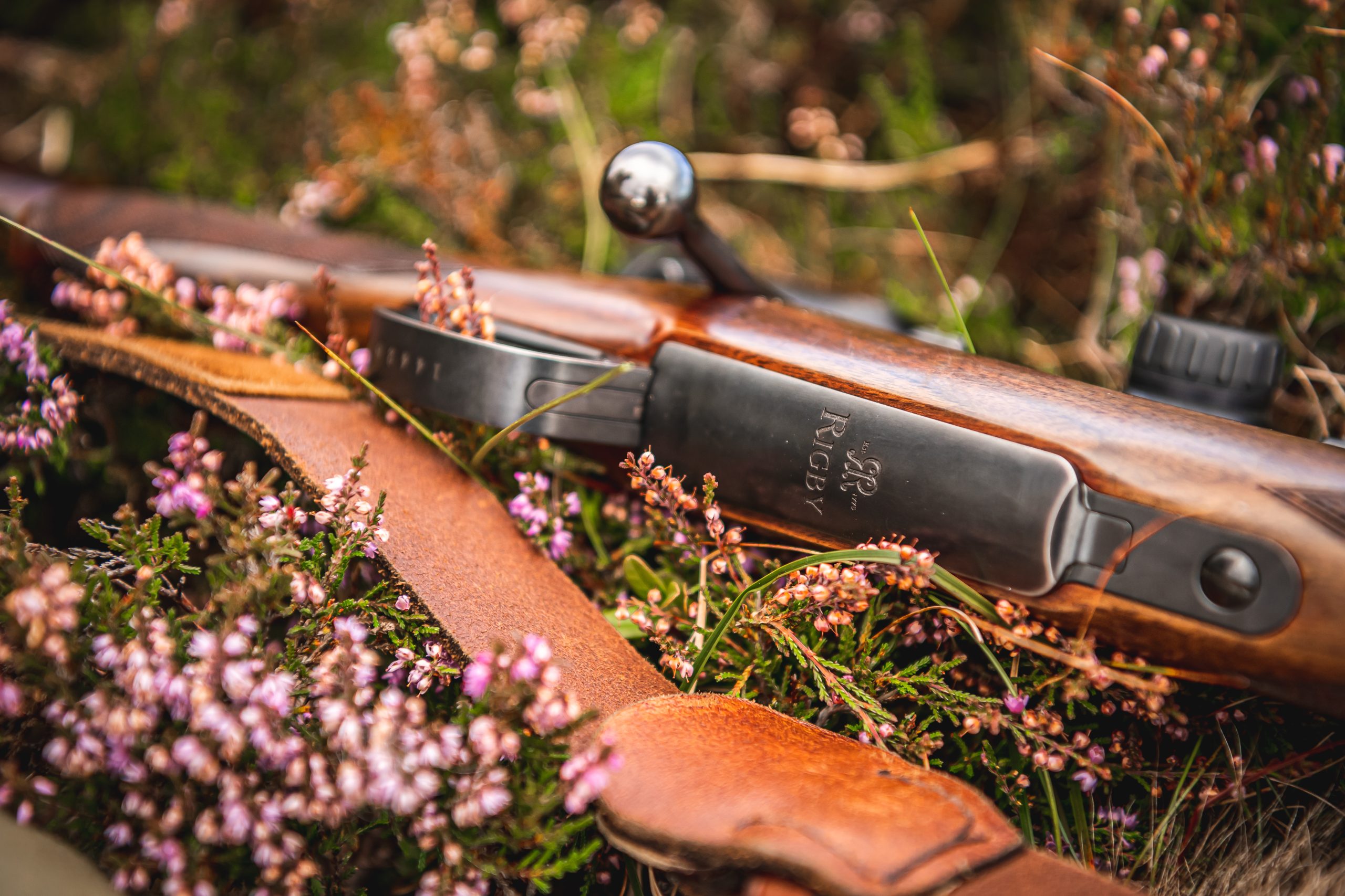 A rifle laying in heather on a moor