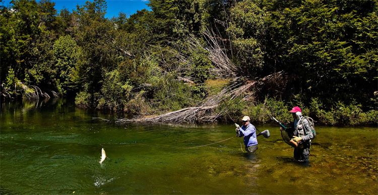 fly fishing