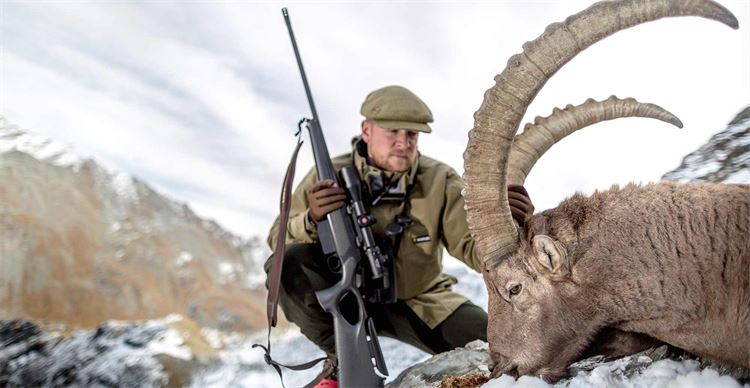 hunting ibex