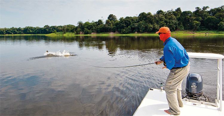 catching monster fish