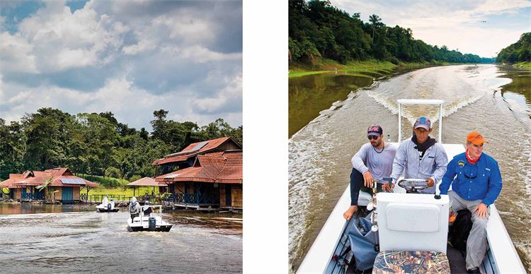 arapaima fishing