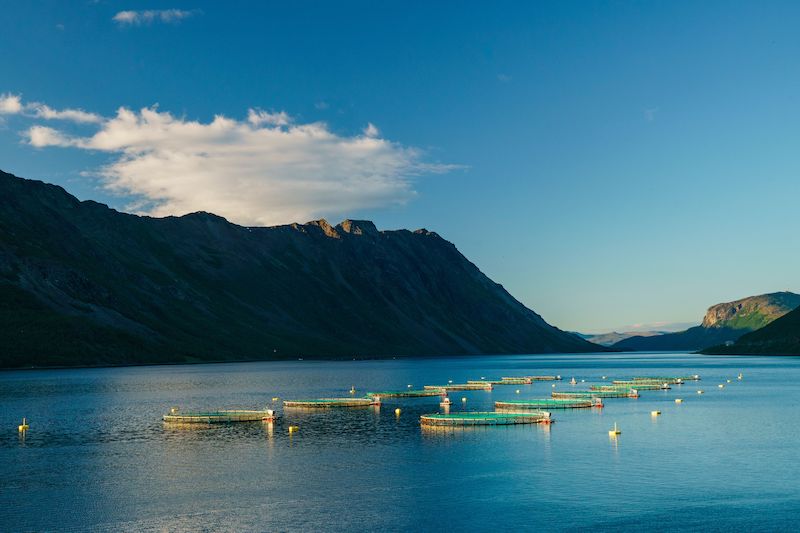 blue sea with mountains in the background