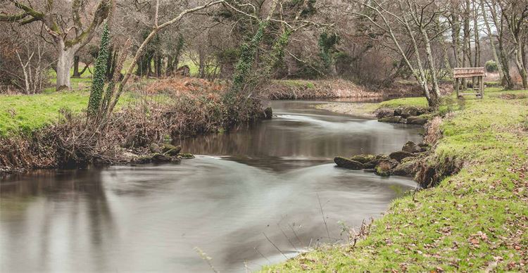 The River Camel