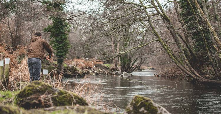 Casting on the River Camel