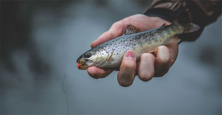 Holding the fish