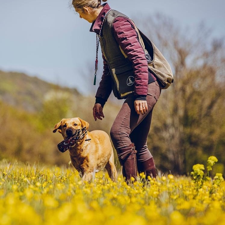 Gun dog training with handler