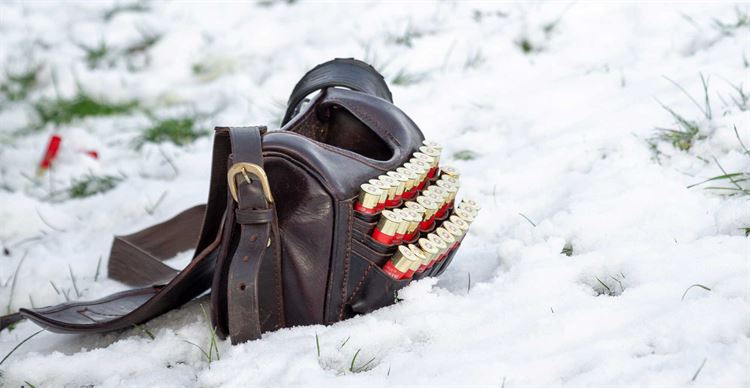 Cartridges and a cartridge bag