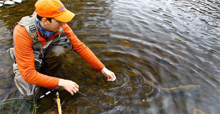 fishing in low water