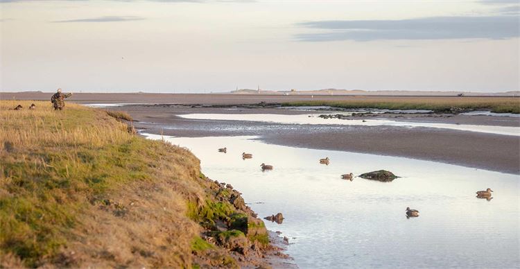 wildfowling tips