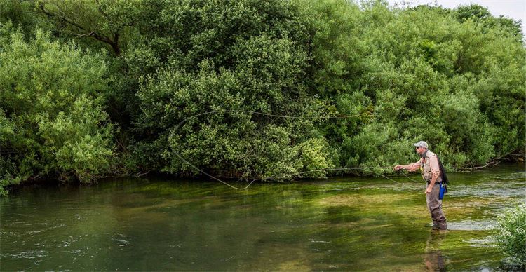 fishing on the river frome