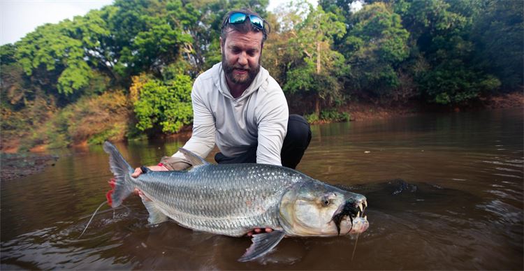 tigerfish