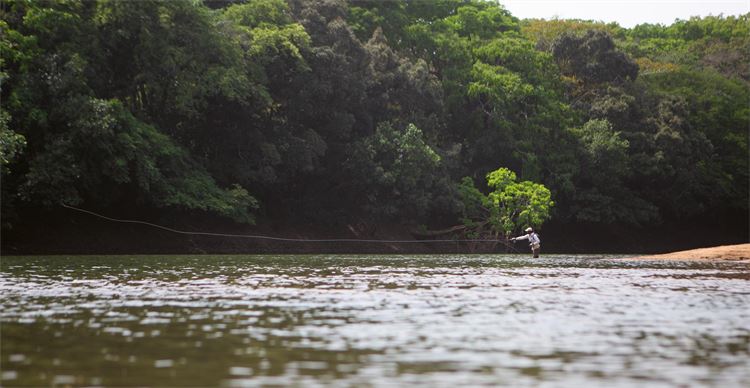 fly fishing