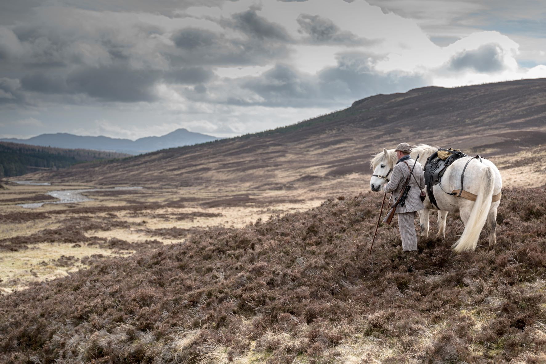 Highland Pony