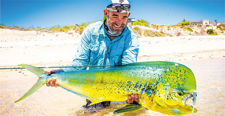 mahi mahi