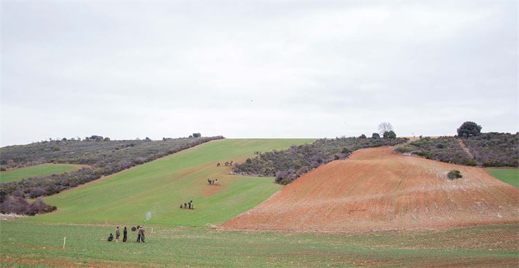 driven partridge shooting