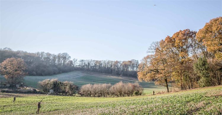 shooting in frosty conditions