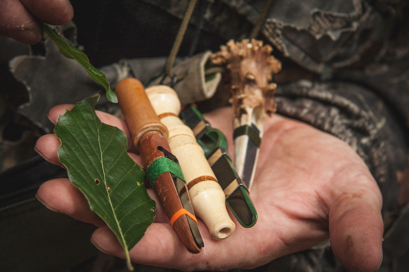 man's hands holding onto leaf and remains of deer antler