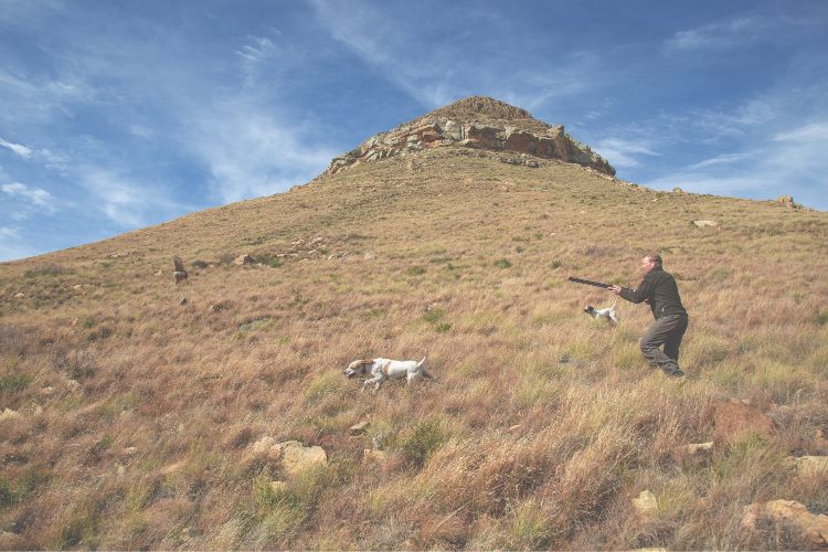 man shooting with dog 