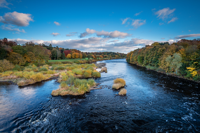 image of a wide river, it is clearly a summer's day as the sky is a bright blue colour which is reflected in the water and the foliage around the river banks is bright green. the image is a drone shot, as there is a bird's eye view of the river