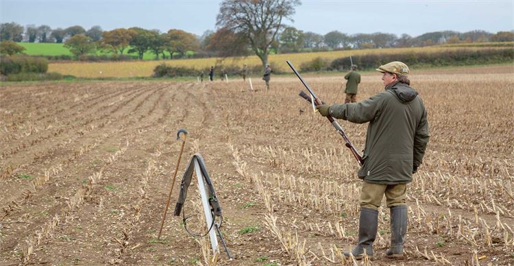 shooting in thornham norfolk