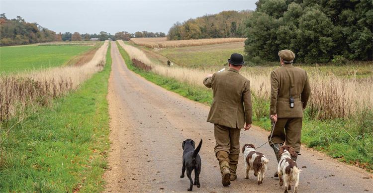 holkham shooting 