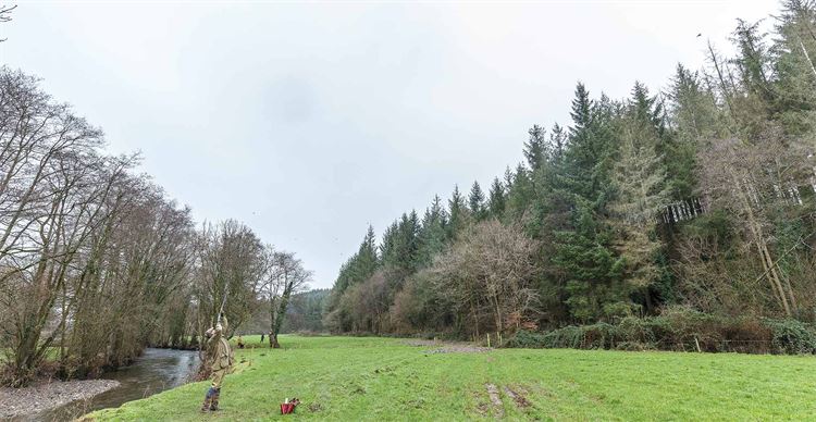 temple shoot in north devon