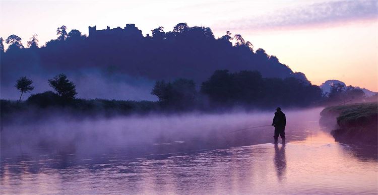 trout fishing