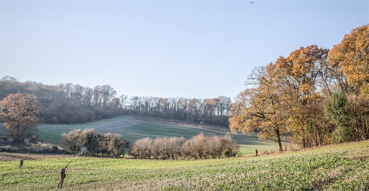 Out shooting in the British countryside