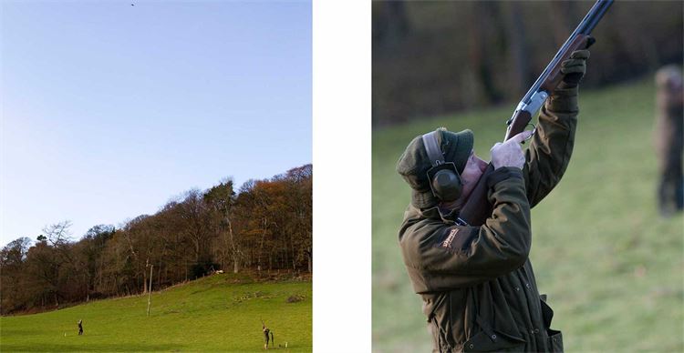 high pheasant guns