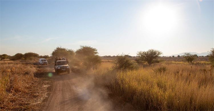 truck in landscape