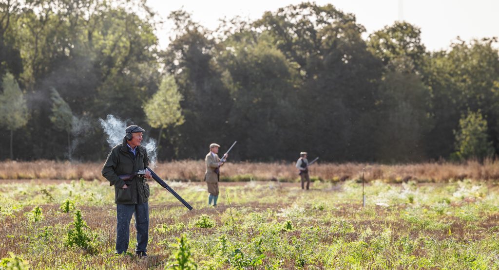 Grey partridge shooting