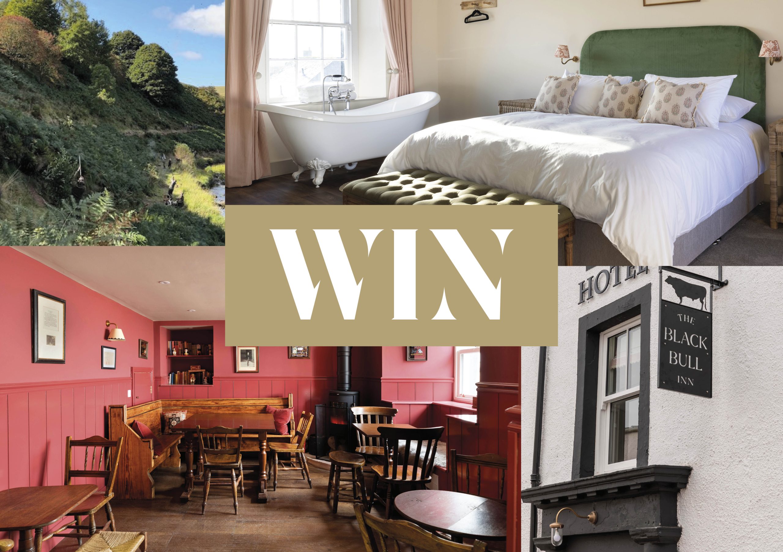 Win a Peg for a Day&#8217;s Shooting at Primrosehill