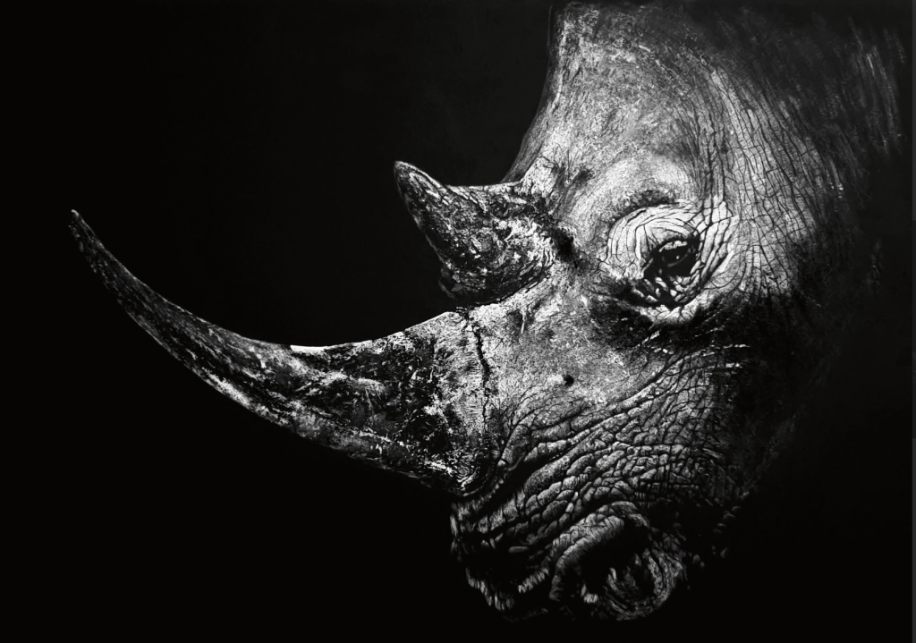 Monochrome picture of a rhinoceros