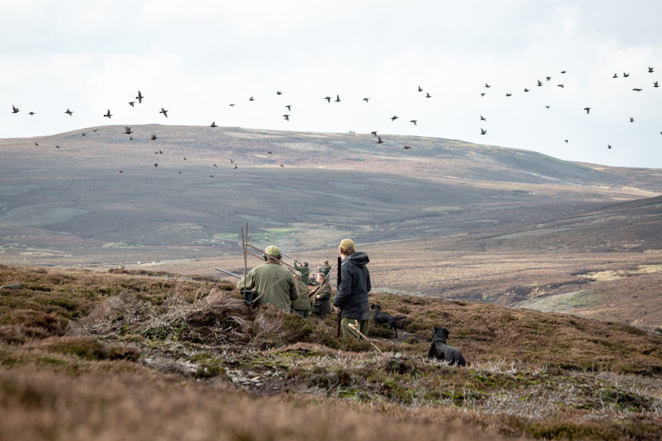 Once-in-a-lifetime grouse day