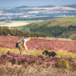 The lesson of Langholm Moor