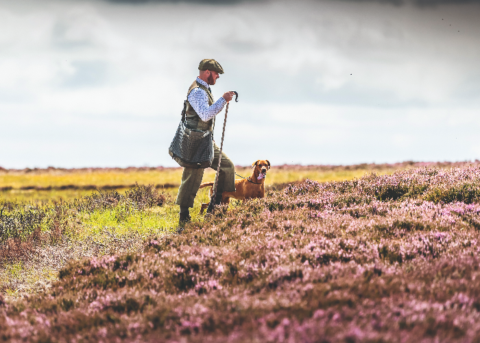 man and dog on heather moorland