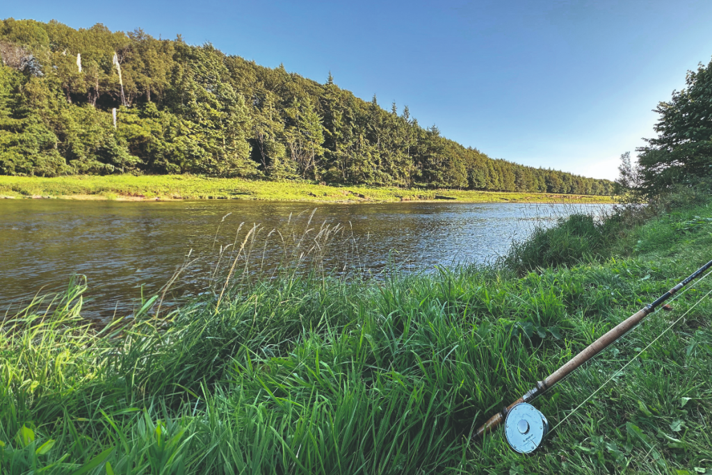 Lower Makerstoun: beat profile