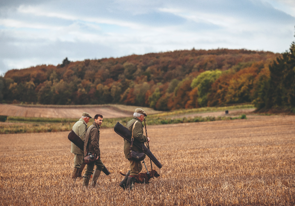 Godmersham Park: One of the Finest Shoots in the UK